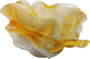 Forminha para Doces Finos - R-82 Borda Dourada - 40 unidades - MaxiFormas - Rizzo