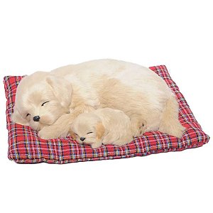 Enfeite de Cachorro com Filhote Golden  - 1 unidade - Cromus - Rizzo