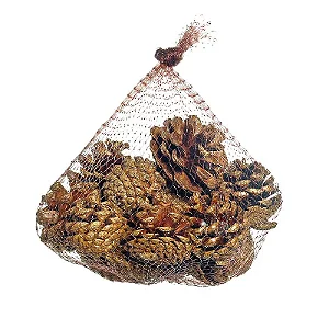 Saquinho com Pinhas Natural G 20cm - 01 unidade - Cromus Natal - Rizzo