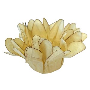 Forminha para Doces Finos - Madri Castanho - 50 unidades - Decora Doces - Rizzo