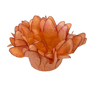 Forminha para Doces Finos - Madri Caramelo - 50 unidades - Decora Doces - Rizzo