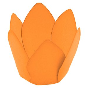 Forminha Para Doces Finos - Monaco - Papaya - 50 unidades - Decora Doces - Rizzo