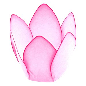Forminha Para Doces Finos - Monaco - Primavera - 50 unidades - Decora Doces - Rizzo