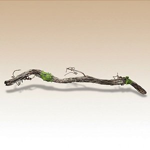 Galho Decorativo - Longo Com Musgo - 142cm - 1 unidade - Cromus - Rizzo