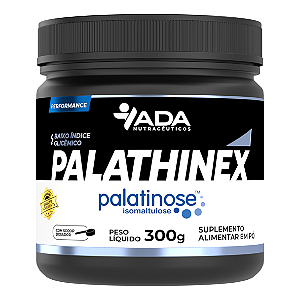 Palathinex - Palatinose - 300g