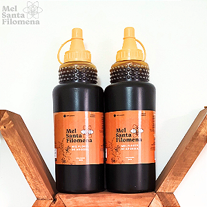 Mel Santa Filomena Florada Aroeira 2 bisnagas de 1Kg