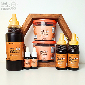 2 Potes de sachê de 500g cada + 2 Extratos de Própolis 20ml cada + 2 Bisnagas 280g + 1 Bisnaga 1kg