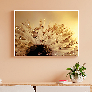 Quadro Decorativo Uma Flor com Gotas de Orvalho