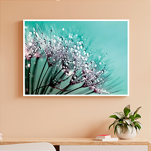Quadro Decorativo Flor Dente de Leão com Orvalho