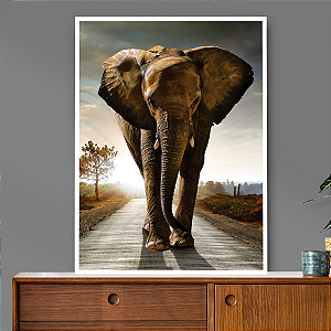 Quadro Decorativo Elefante Caminhando Sozinho na Rua