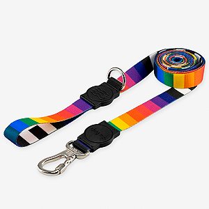 Guia 2 Metros Miconos Dog Trip