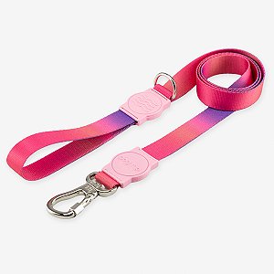 Guia para cachorros Peniche