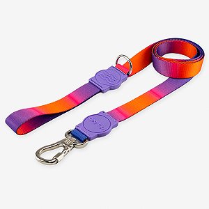 Guia para cachorros Padang