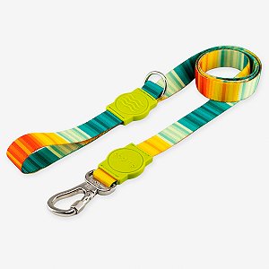 Guia para cachorros Sunset