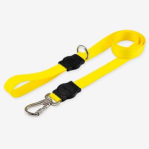 Guia para cachorros Blip