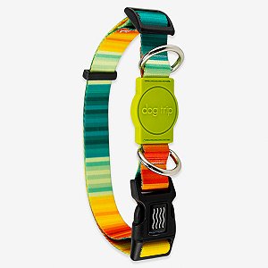 Coleira para cachorros Sunset