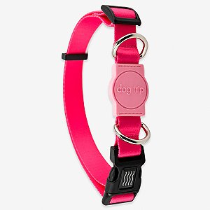 Coleira para cachorros Rose