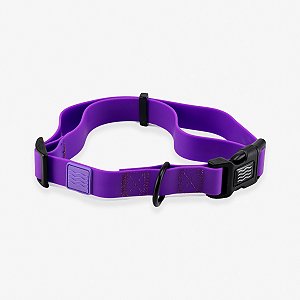 Coleira para Cachorros Waterproof Purple