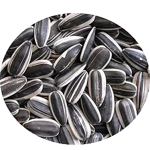 Girassol graúdo- Papyto Birds- 400g