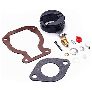 Reparo Carburador Para Motor Popa Johnson Evinrude 9.9 15HP