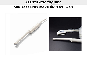 Transdutor Mindray Endocavitario V10 4s