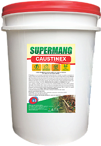 CAUSTINEX 20 LITROS - DETERGENTE DE USO GERAL ALCALINO