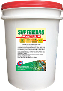 REMMOX FRUIT 20 LITROS - DETERGENTE PARA USO ESPECÍFICO