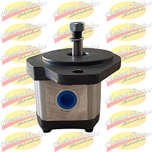 BOMBA HIDRÁULICA F000510535