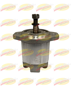 MOTOR DE ENGRENAGENS HYBEL 1215103047