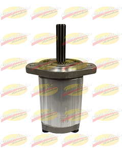 BOMBA DE ENGRENAGENS 12111033066