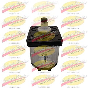 BOMBA DE ENGRENAGEM 307DB3
