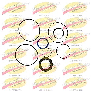 KIT VEDAÇÃO OMTS1/S2/S2 - 600012614