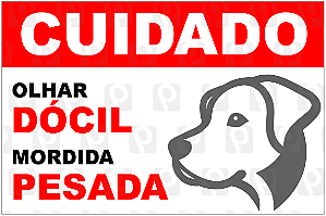 Placa Cachorro 30x20 cm