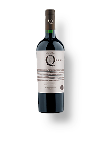 Vinho Bisquertt Q Clay Syrah - Malbec - 750ml