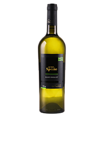 Vinho Terre di San Vincenzo Sette Spezie Chardonnay IGT - 750ml