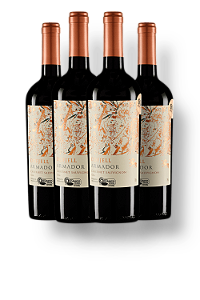 Kit 4 Garrafas Odfjell Armador Cabernet Sauvignon Orgânico - 750ml