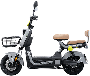 Scooter Elétrica Tank 800W Cinza – New E-Bike