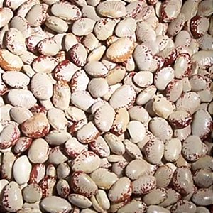FAVA RAIO DE SOL