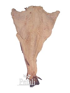 PEIXE DE BACALHAU DO PORTO 4/6 INTEIRO GADUS MORHUA