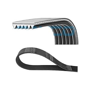 Correia Micro V Citroen Jumpy e Peugeot Expert 1.6 16V Dayco 6PK800