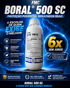 BORAL SELETIVO 1 LITRO