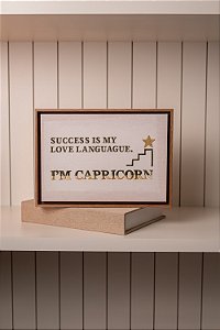 Capricórnio