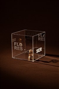 Cubo Prata - Flores-Ser