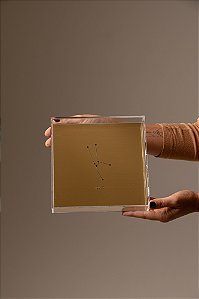 Quadro em Acrílico Dourado - Touro