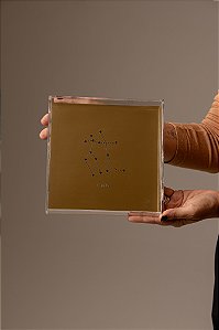 Quadro em Acrílico Dourado - Gêmeos