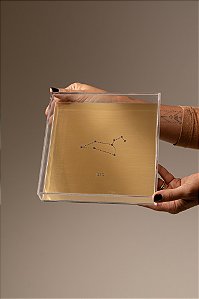 Quadro em Acrílico Dourado - Leão