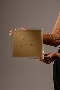 Quadro em Acrílico Dourado - Peixes