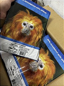 PAPEL FOTOGRÁFICO AUTO ADESIVO