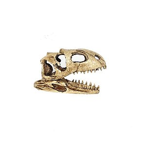 Cranio Dinossauro 18X5,5X11Cm Ns-98 Nomoypet