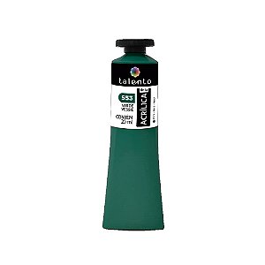TINTA P/TELA 20ML 553 VERDE VESSIE UND